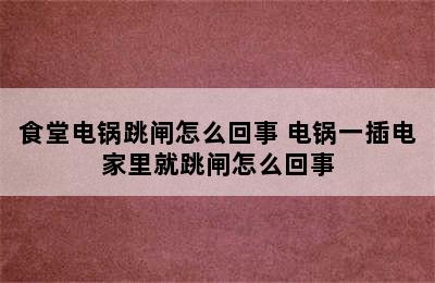 食堂电锅跳闸怎么回事 电锅一插电家里就跳闸怎么回事